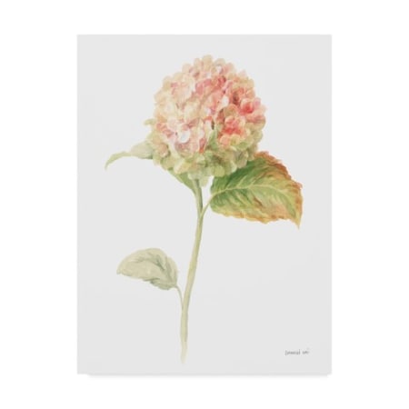 Danhui Nai 'Floursack Florals On White V' Canvas Art,18x24